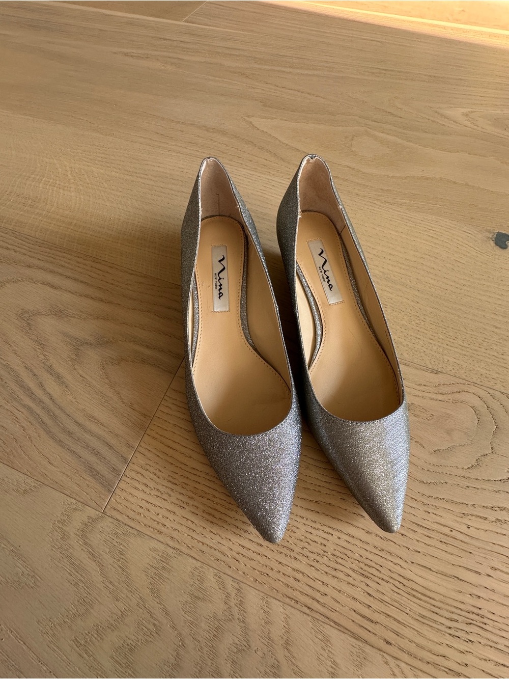 Nina Glitter Pointed Toe Pumps in Metallic Silver